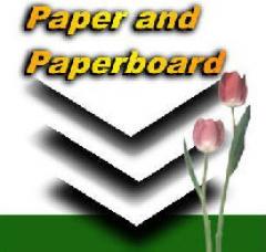 Printing & Writing Paper